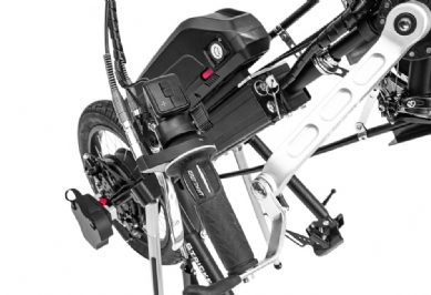Stricker Smart Wild